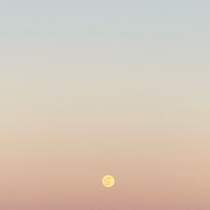 Meet your Posher, Eugenia